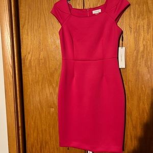 Calvin Klein Dress